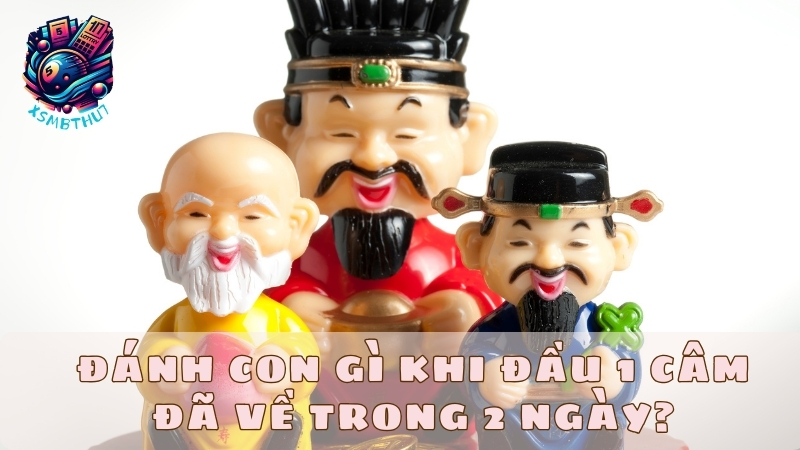 Đánh con gì khi đầu 1 câm đã về trong 2 ngày?